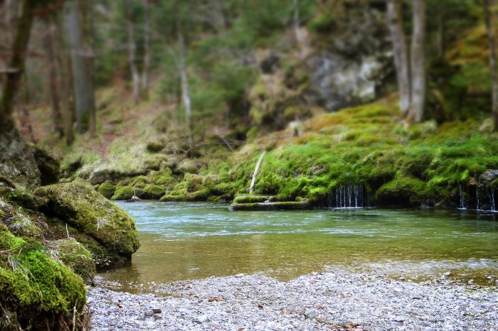 Kako je kisik stigao na Zemlju: U Zagrebu sutra detaljno o ovoj temi
