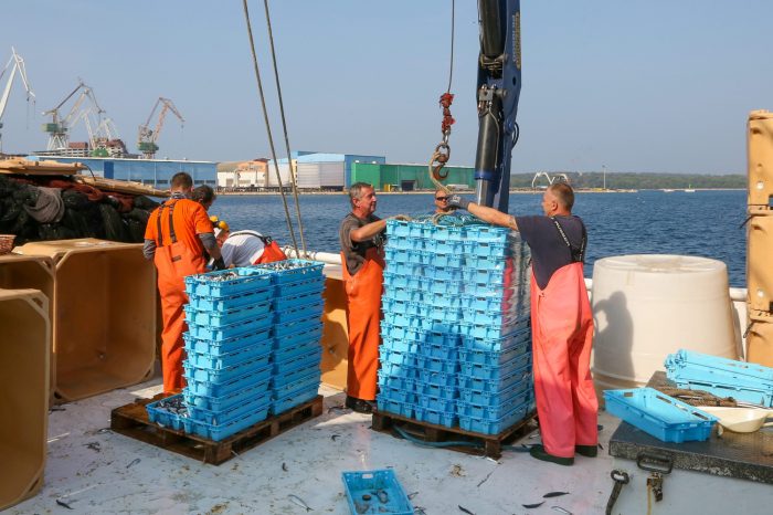 EU uvozi više od 70 % ribe: Novi 'divovi ne mare za pravila