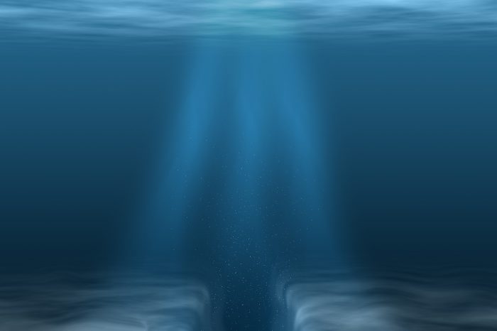 Tiha prijetnja oceanima: Globalni pad planktona ne sluti na dobro