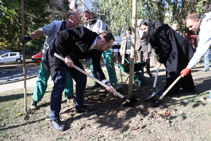 Zagreb nastavlja ozelenjavanje: Tomašević najavio sadnju 8.015 stabala na više od 1.300 lokacija